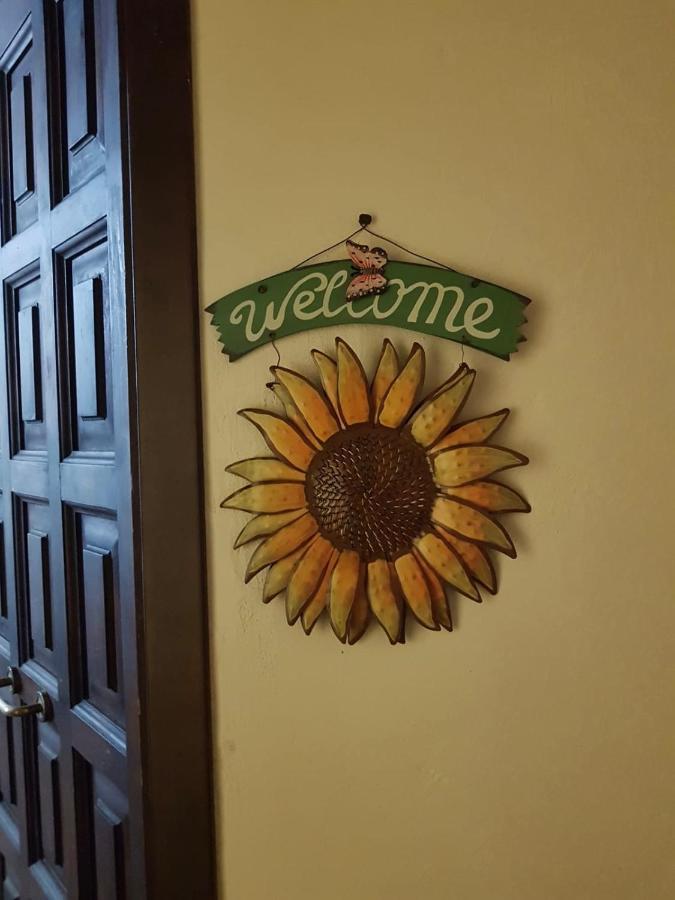 Appartement Il Girasole Storico à Pitigliano Extérieur photo