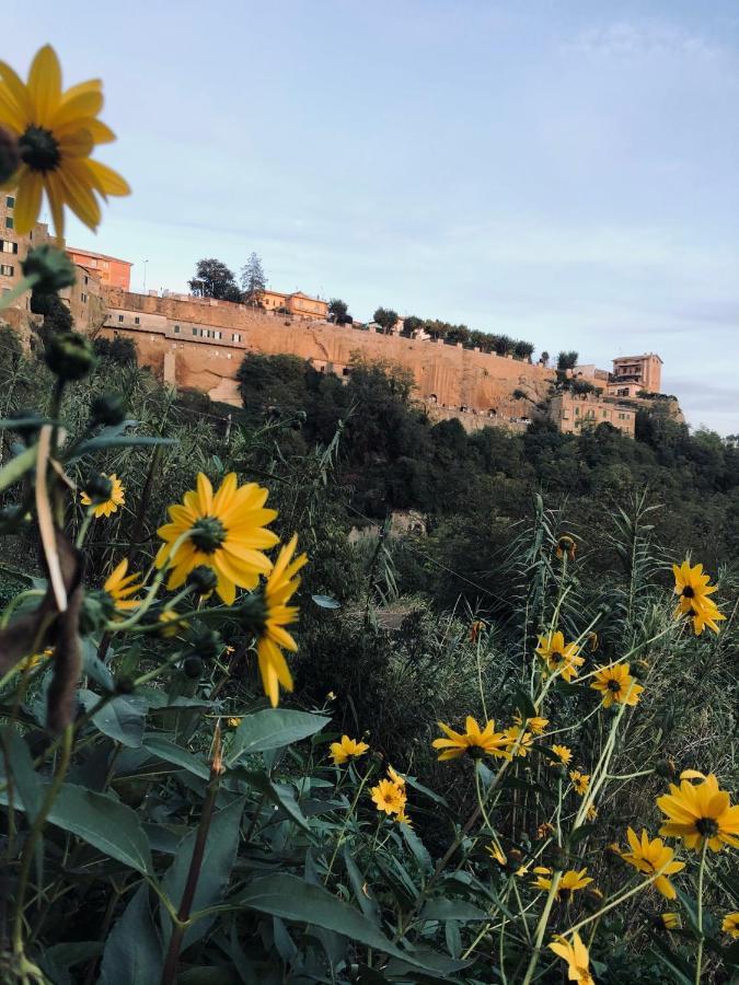 Appartement Il Girasole Storico à Pitigliano Extérieur photo